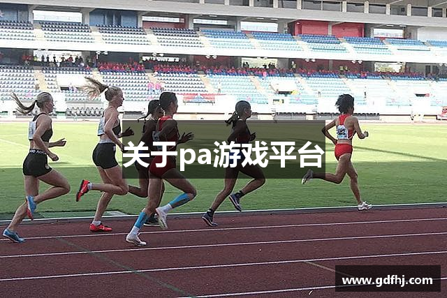 关于pa游戏平台